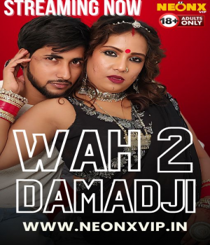 Wah Damad Ji 2 (2024) NeonX Hindi Short Film